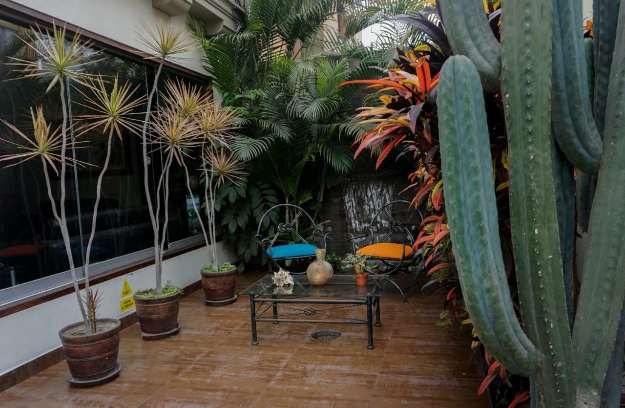 - La Casa De Ceci